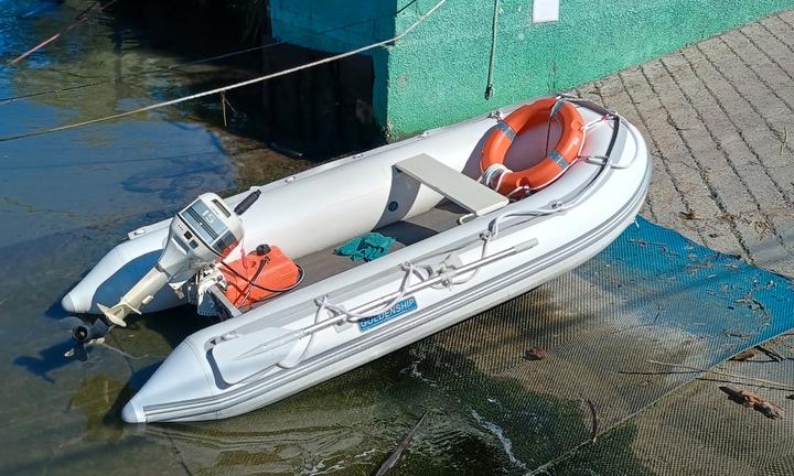 Tender 320 con johnson 15 2t