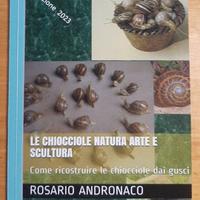 Chiocciole, Natura arte e scultura