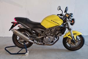 Cagiva Raptor 650 Interesse storico FMI