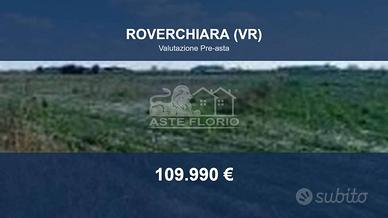 Immobile in asta di 29104 m² a Roverchiara