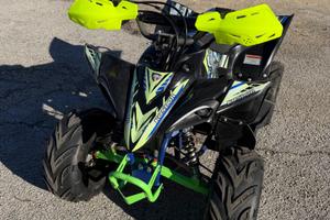 Quad lem 110cc
