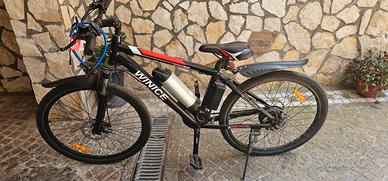 Bici elettrica