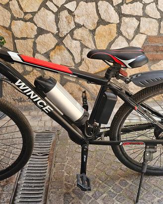 Bici elettrica