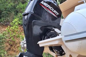 Motore fuoribordo mercury