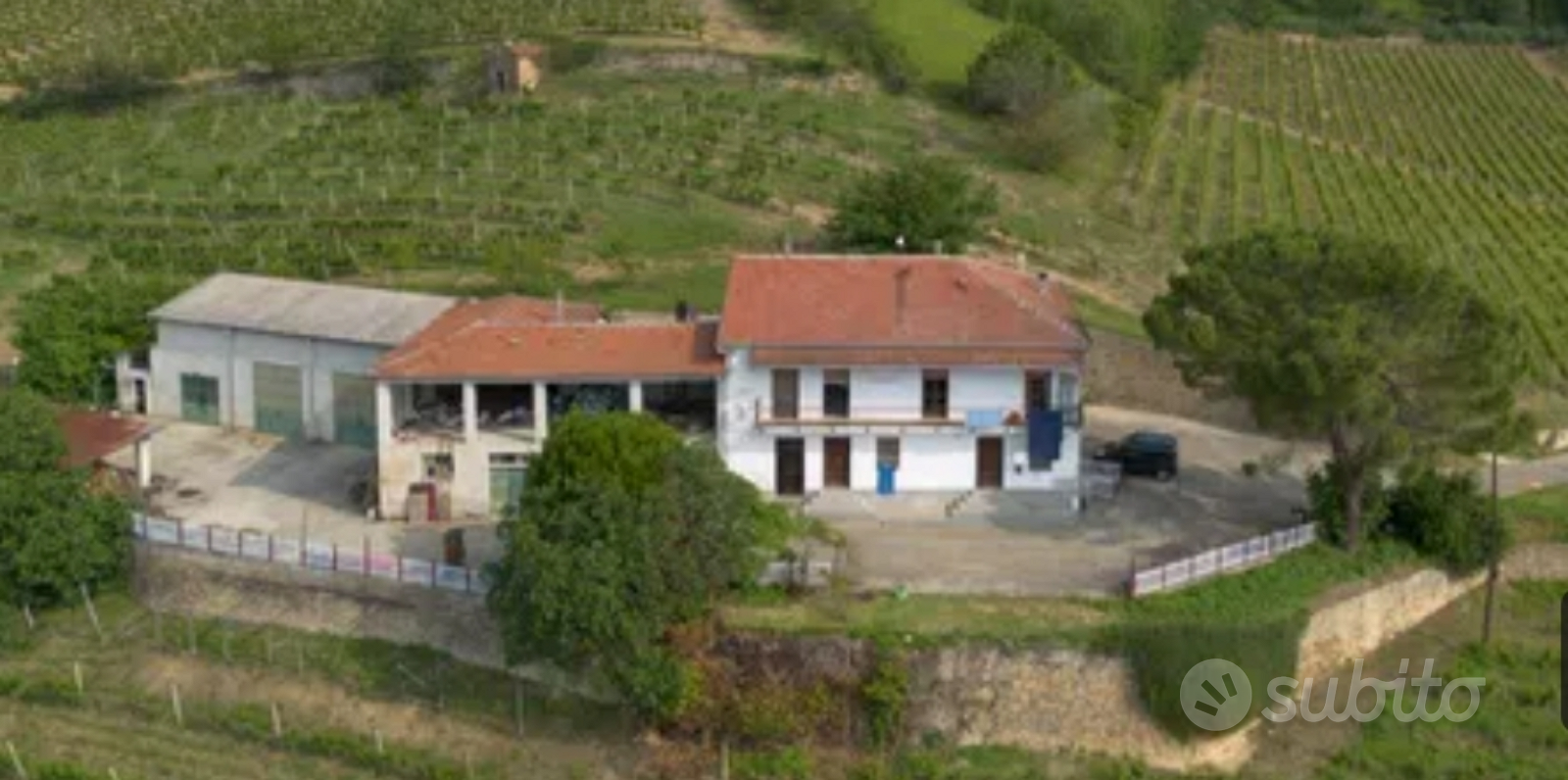 Privato vende azienda vitivinicola in Langa - View 3