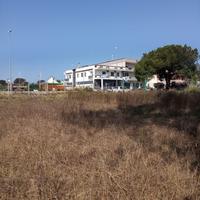 Rif 272 terreno di circa 3000 mq