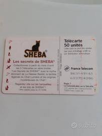 Scheda telefonica francese sheba gatti