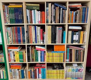 Grande Selezione Di Libri (Romanzi, Saggistica)