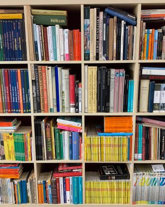 Grande Selezione Di Libri (Romanzi, Saggistica)