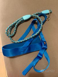 Pettorine, Guinzagli e Collare