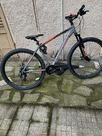 Bici mtb