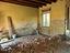 Immagine 7