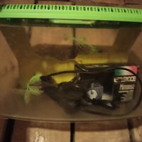 Acquario con pompa filtro per Pesci-tartarughe