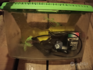Acquario con pompa filtro per Pesci-tartarughe