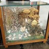 Diorama Vintage Botanico - Teca in Legno