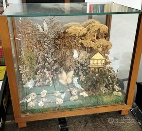 Diorama Vintage Botanico - Teca in Legno