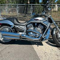 Harley davidson v-rod 1250