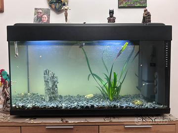 Acquario 100L