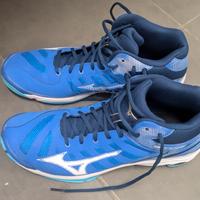 Mizuno wave voltage 2 mid volley