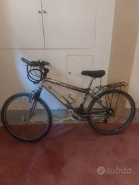 MTB Negrini