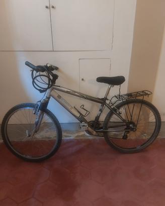 MTB Negrini
