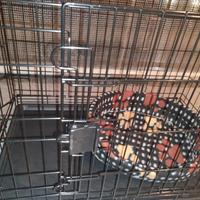 Kennel con doppia porta 91×58×64