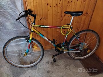 Bicicletta Mountain Bike