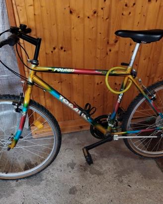 Bicicletta Mountain Bike