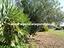 Immagine 26