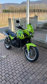 Triumph Tiger 955i