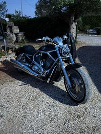 Harley davidson v rod