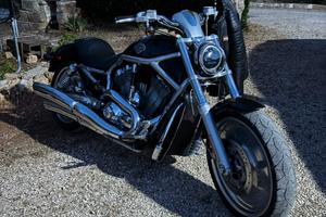 Harley davidson v rod
