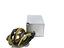 Immagine 2
