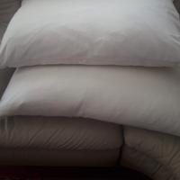 Cuscini vera piuma d'oca.