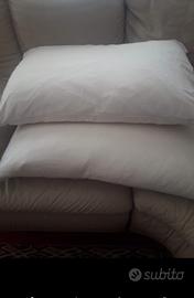 Cuscini vera piuma d'oca.