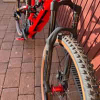 Specialized turbo levo