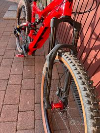 Specialized turbo levo