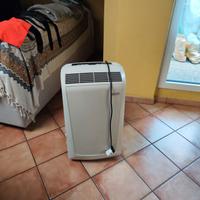 Climatizzatore Pinguino 