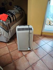 Climatizzatore Pinguino 