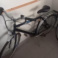 Biciclette uomo e donna