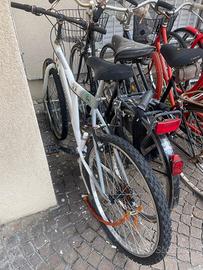 Bicicletta Mountain Bike