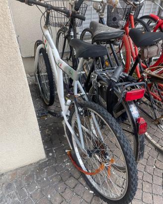 Bicicletta Mountain Bike