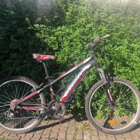 Bici mtb 24”