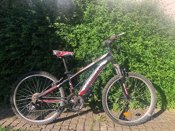 Bici mtb 24”