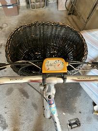 City bike Olimpia modello Literoad 26” da donna