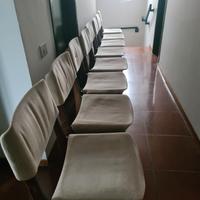 8 sedie Ico Parisi per MiM anni 1960/70