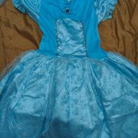 Carnevale - Principessa/Frozen 8-9 anni 140 cm