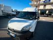 FIAT DOBLO'
