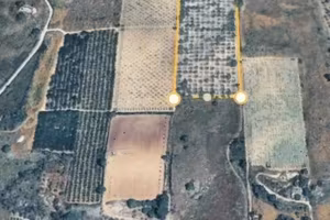 Terreno agricolo 22000 mq ideale per villa o lotti
