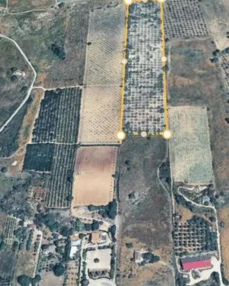 Terreno agricolo 22000 mq ideale per villa o lotti